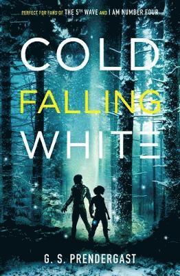 Gabrielle Prendergast - Cold Falling White, Häftad