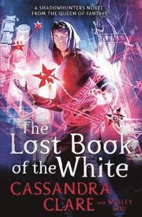 bokomslag The Lost Book of the White