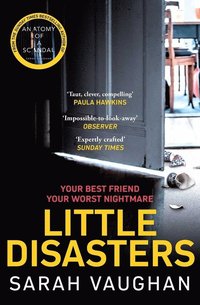 bokomslag Little Disasters