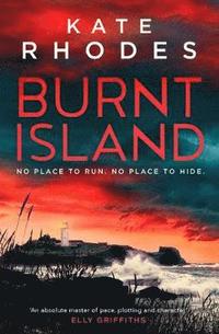 bokomslag Burnt Island