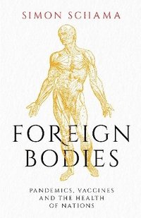 bokomslag Foreign Bodies