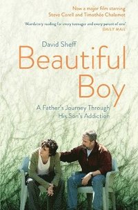 bokomslag Beautiful Boy: A Father's Journey Through His Son's Addiction