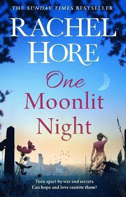 One Moonlit Night 1