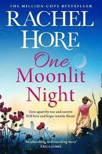 bokomslag One Moonlit Night