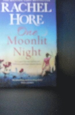One Moonlit Night