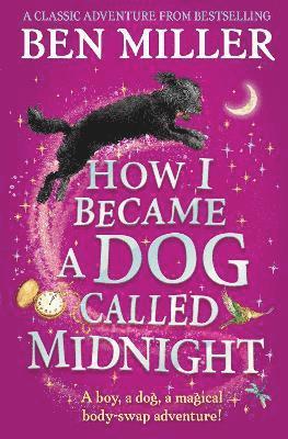 bokomslag How I Became a Dog Called Midnight