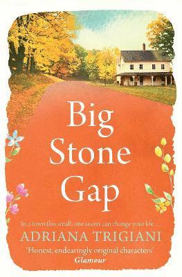 bokomslag Big Stone Gap