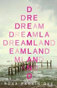 bokomslag Dreamland
