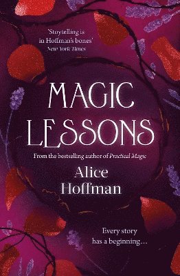 Magic Lessons: Volume 1 1