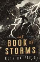 bokomslag The Book of Storms