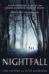 bokomslag Nightfall