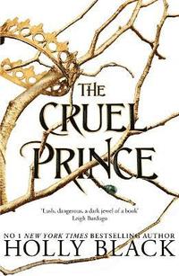 bokomslag The Cruel Prince (The Folk of the Air)