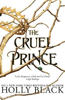 bokomslag The Cruel Prince (The Folk of the Air)