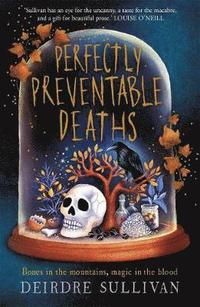 bokomslag Perfectly Preventable Deaths
