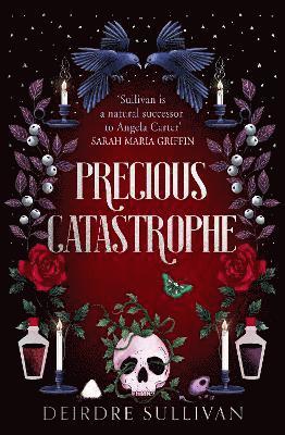 bokomslag Precious Catastrophe (Perfectly Preventable Deaths 2)