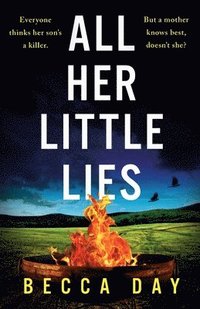 bokomslag All Her Little Lies