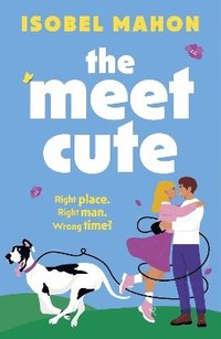 bokomslag Meet Cute