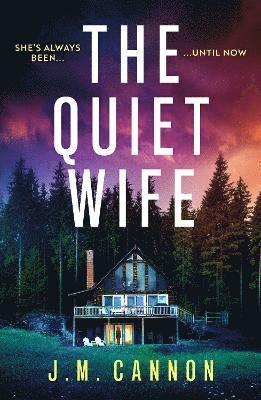 bokomslag Quiet Wife