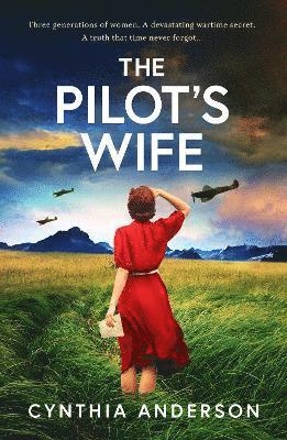 bokomslag Pilot's Wife