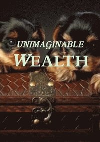 bokomslag Unimaginable Wealth