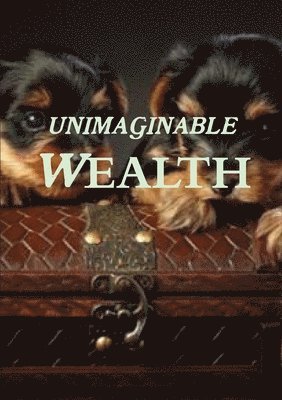 Unimaginable Wealth 1