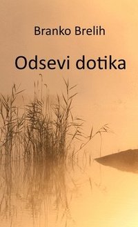 bokomslag Odsevi dotika