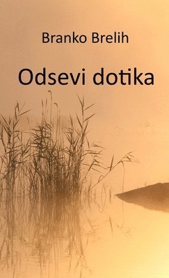 bokomslag Odsevi dotika
