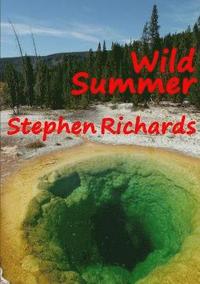 bokomslag Wild Summer (Free Spirit Adventures : RV)
