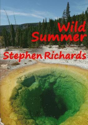 bokomslag Wild Summer (Free Spirit Adventures : RV)