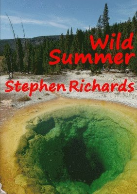 Stephen Richards - Wild Summer (Free Spirit Adventures : RV), Häftad