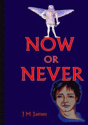 Now or Never 1