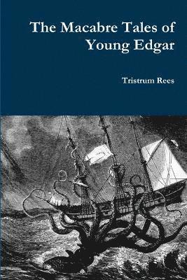 bokomslag The Macabre Tales of Young Edgar Paperback