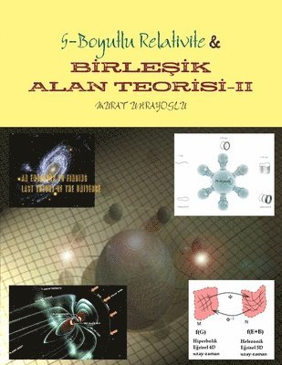 bokomslag Birlesik Alan Teorisi-II