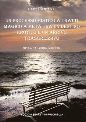 bokomslag Un Processo Mistico a Tratti Magico a Met Tra Un Destino Erotico E Un Arrivo Trasgressivo