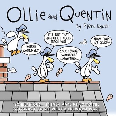 bokomslag Ollie & Quentin ISBN