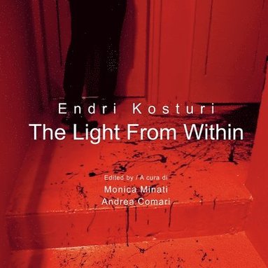 bokomslag Light From Within
