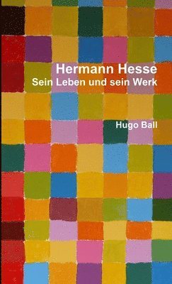 bokomslag Hermann Hesse