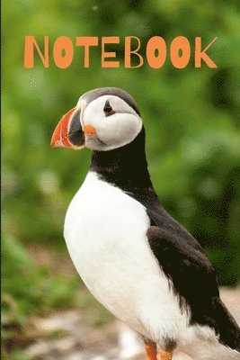 bokomslag Puffin Notebook