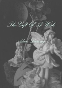 bokomslag The Gift of A Wish