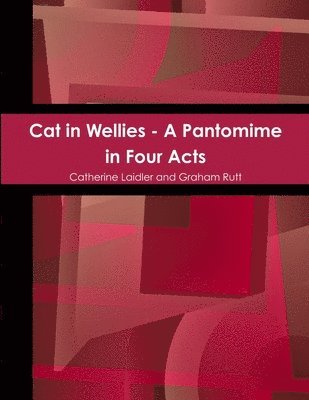 Cat in Wellies 1