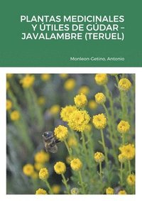 bokomslag Plantas Medicinales Y Útiles de Gúdar - Javalambre (Teruel)