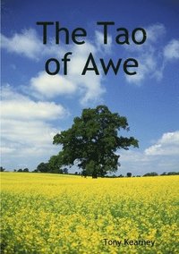 bokomslag The Tao of Awe