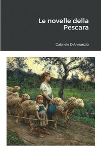 bokomslag Le Novelle Della Pescara