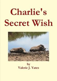 bokomslag Charlie's Secret Wish