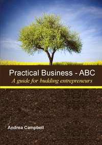 bokomslag PRACTICAL BUSINESS - ABC (A Guide for Budding Entrepreneurs)
