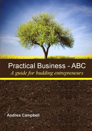 bokomslag PRACTICAL BUSINESS - ABC (A Guide for Budding Entrepreneurs)