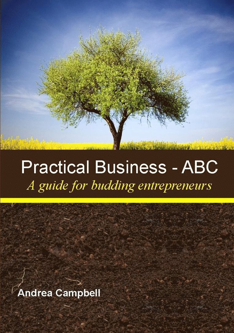 PRACTICAL BUSINESS - ABC (A Guide for Budding Entrepreneurs) 1