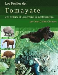 bokomslag Los Fosiles Del Tomayate: Una Ventana Al Cuaternario De Centroamerica