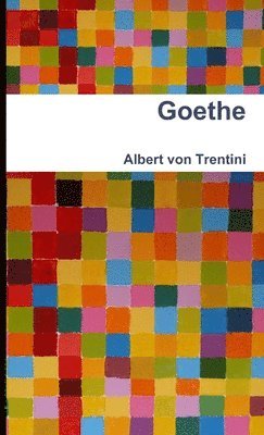 bokomslag Goethe