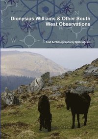 bokomslag Dionysius Williams & Other South West Observations